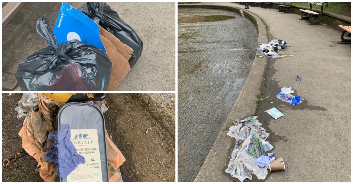 Valley Gardens rubbish