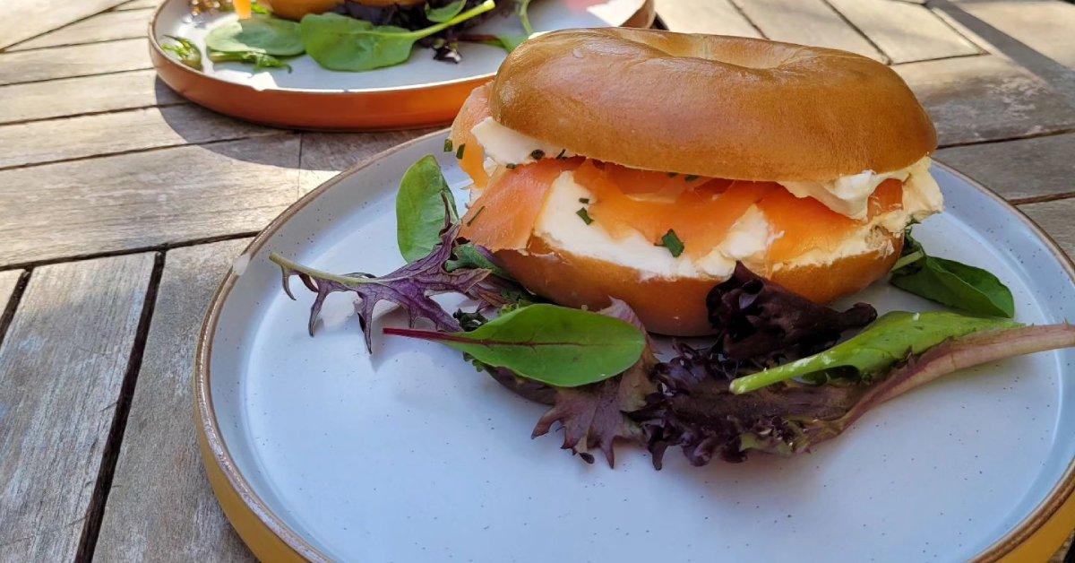 354003572_226173543562183_9168638364206690423_n