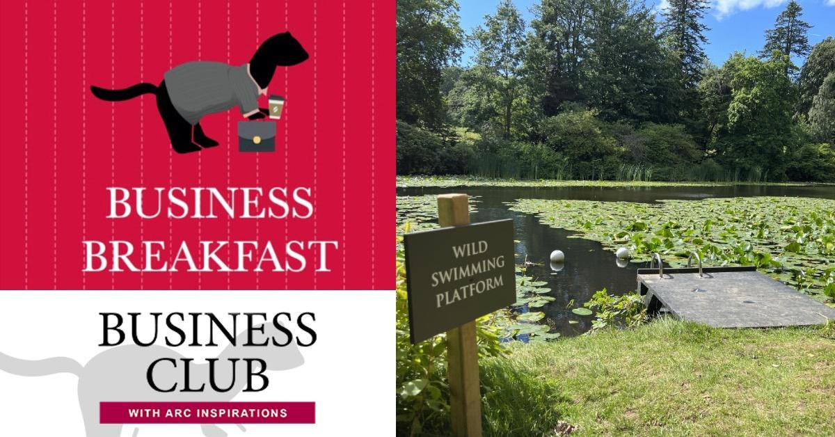 businessbreakfastwildswimming