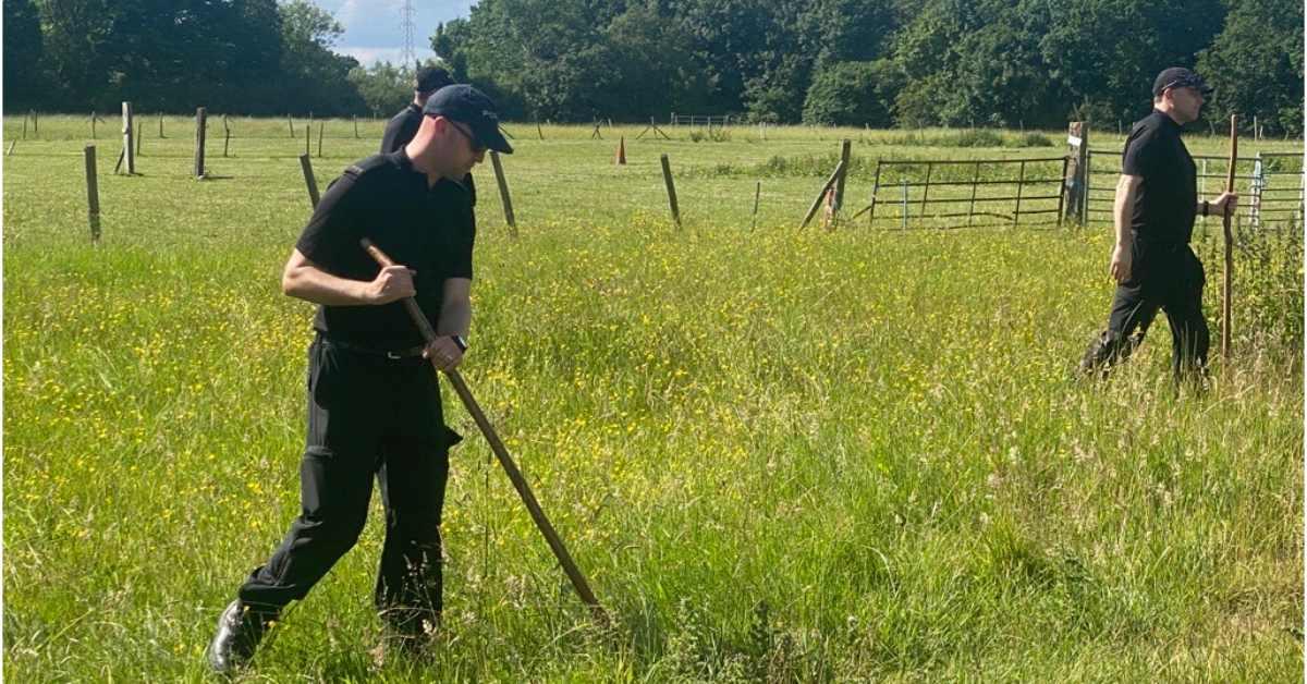 microsoftteams-image-113-1