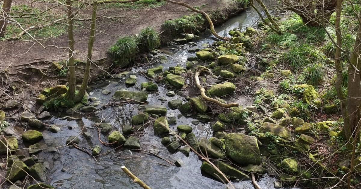 6215990_91a5bcea_1024x1024