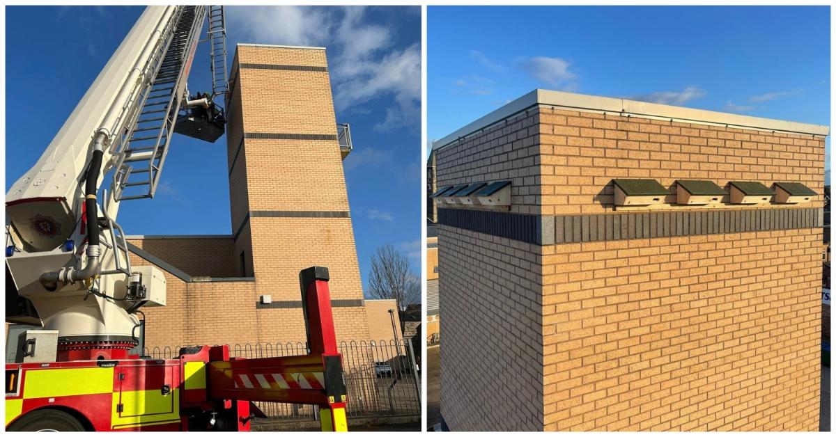 collage-maker-03-jul-2023-02-39-pm-8456