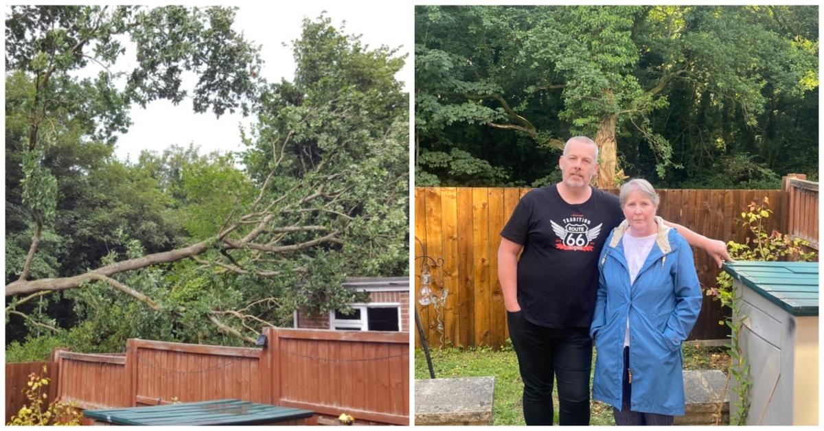 collage-maker-12-jul-2023-04-54-pm-9779