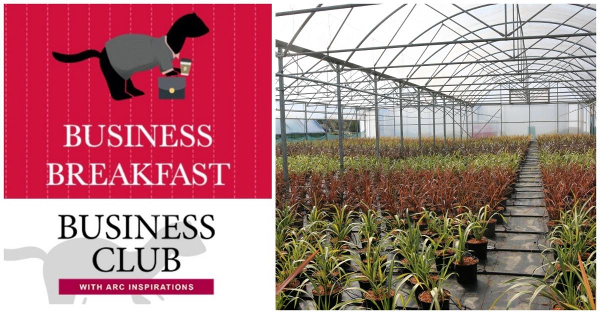 collage-maker-26-jul-2023-02-18-pm-5378