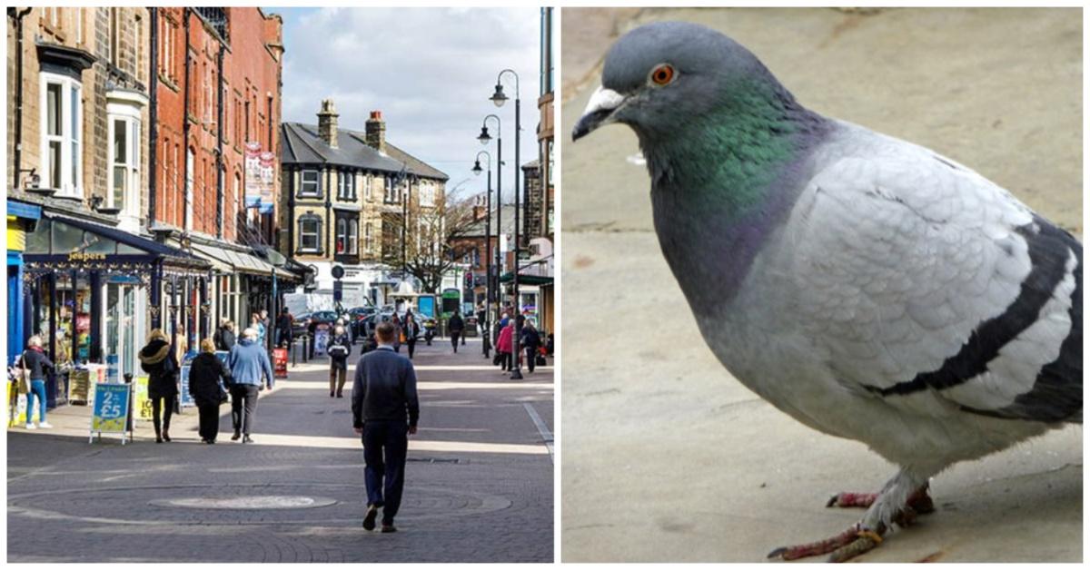 collage-maker-28-jul-2023-03-38-pm-4983