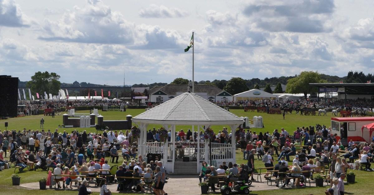 gys23_-crown2-scaled