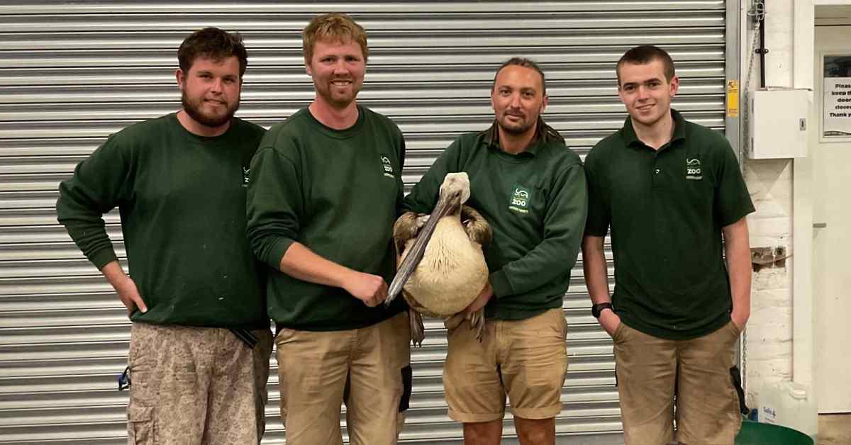 370526513_686021933566269_6974199137866435123_n