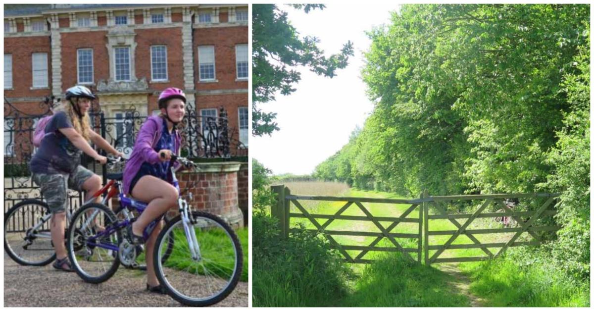 collage-maker-20-aug-2023-09-06-pm-2477