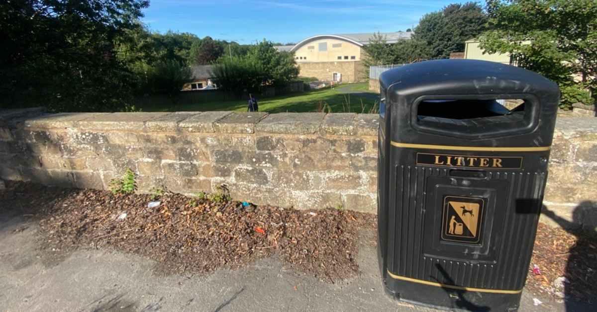 microsoftteams-image-1-31