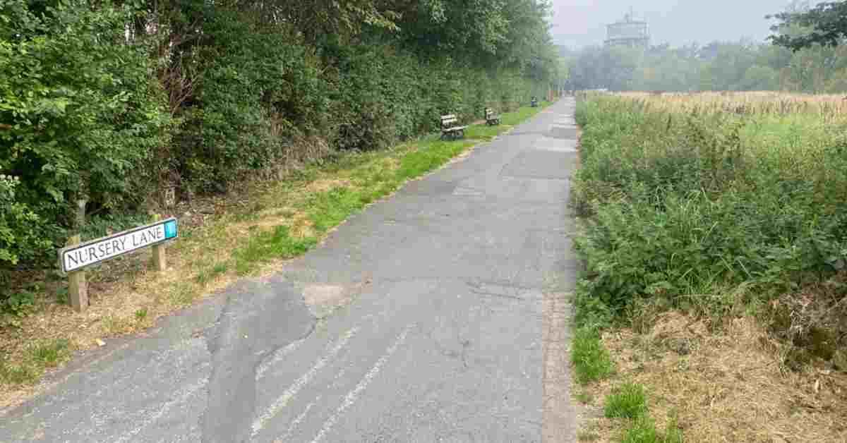 microsoftteams-image-20-11