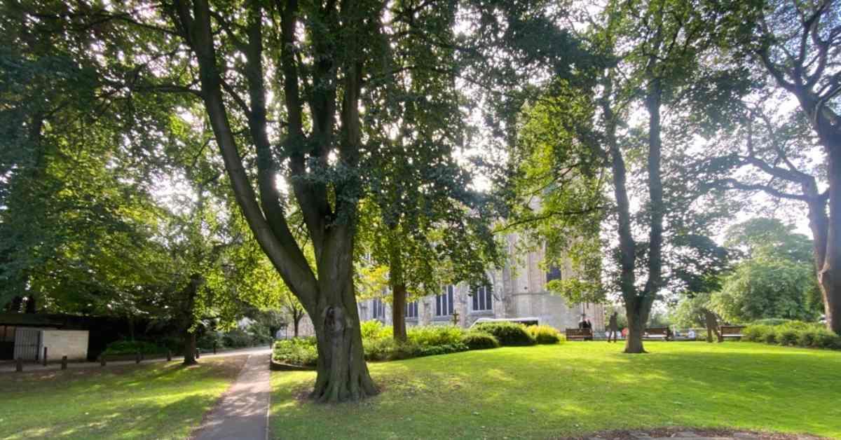 microsoftteams-image-26-9