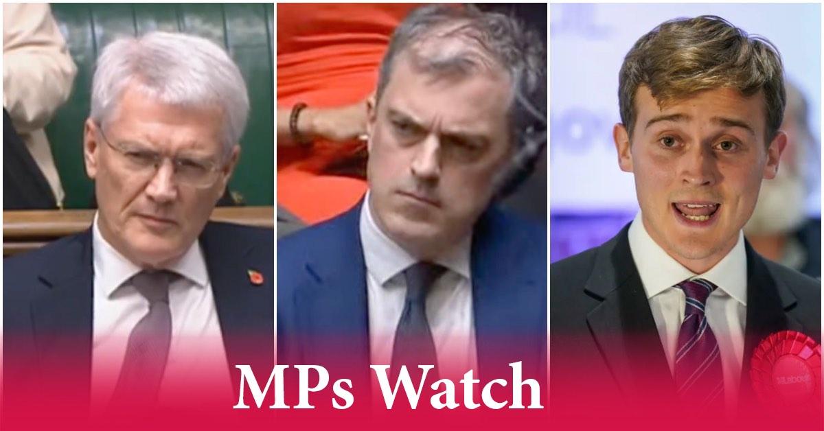 Local Mps MPs Watch: General Election, Nidd bathing status and female toilets