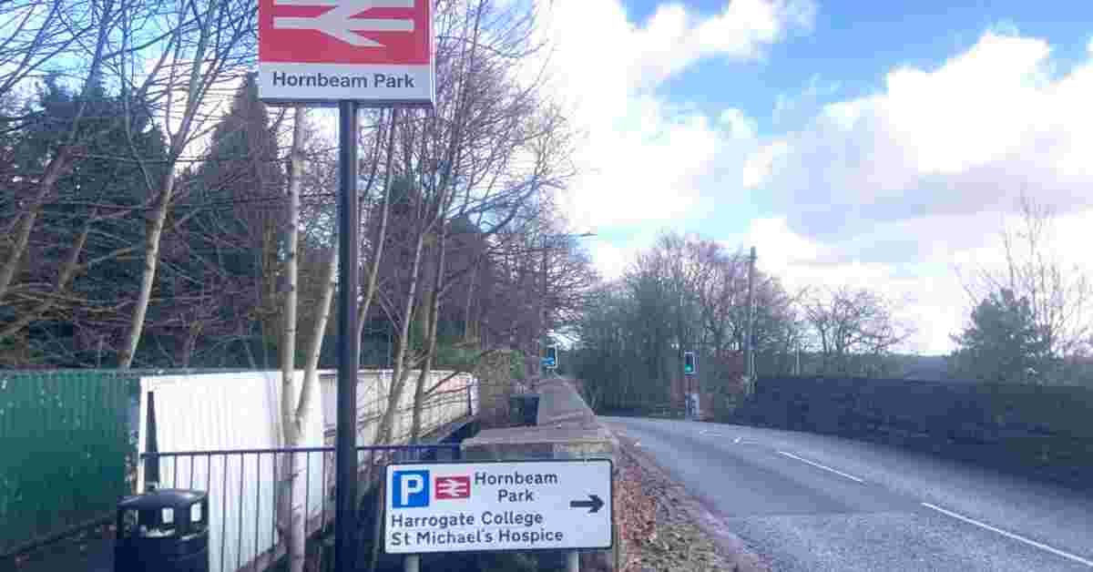 microsoftteams-image-1-36