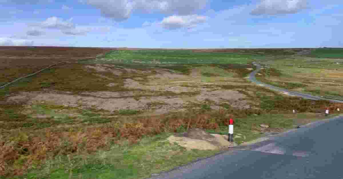 microsoftteams-image-29-11