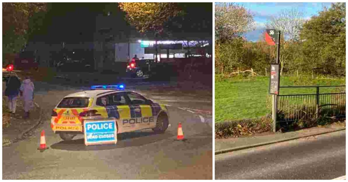 mixcollage-10-nov-2023-02-56-pm-3616