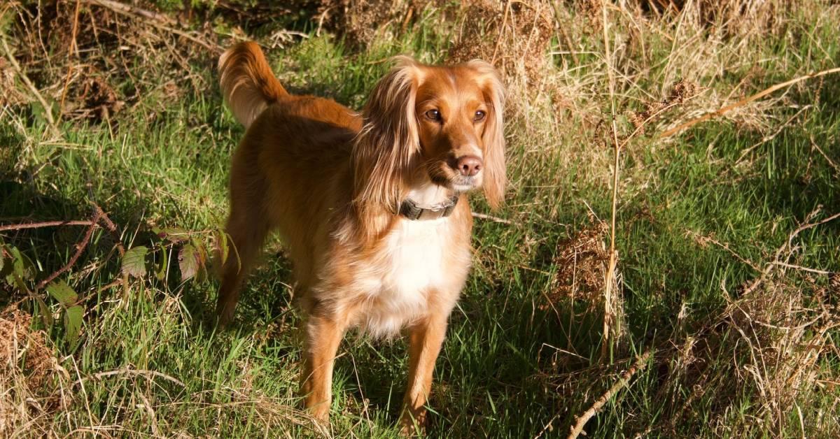 ripon-24th-oct-2023-ella-2-2