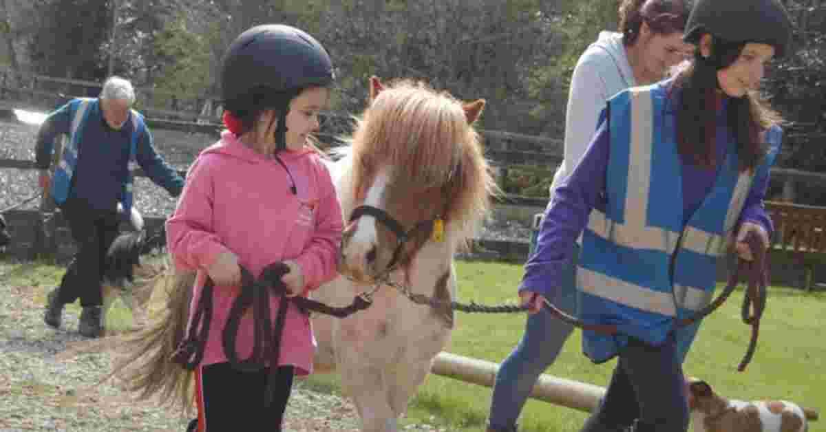 screenshot-2023-11-08-at-16-37-46