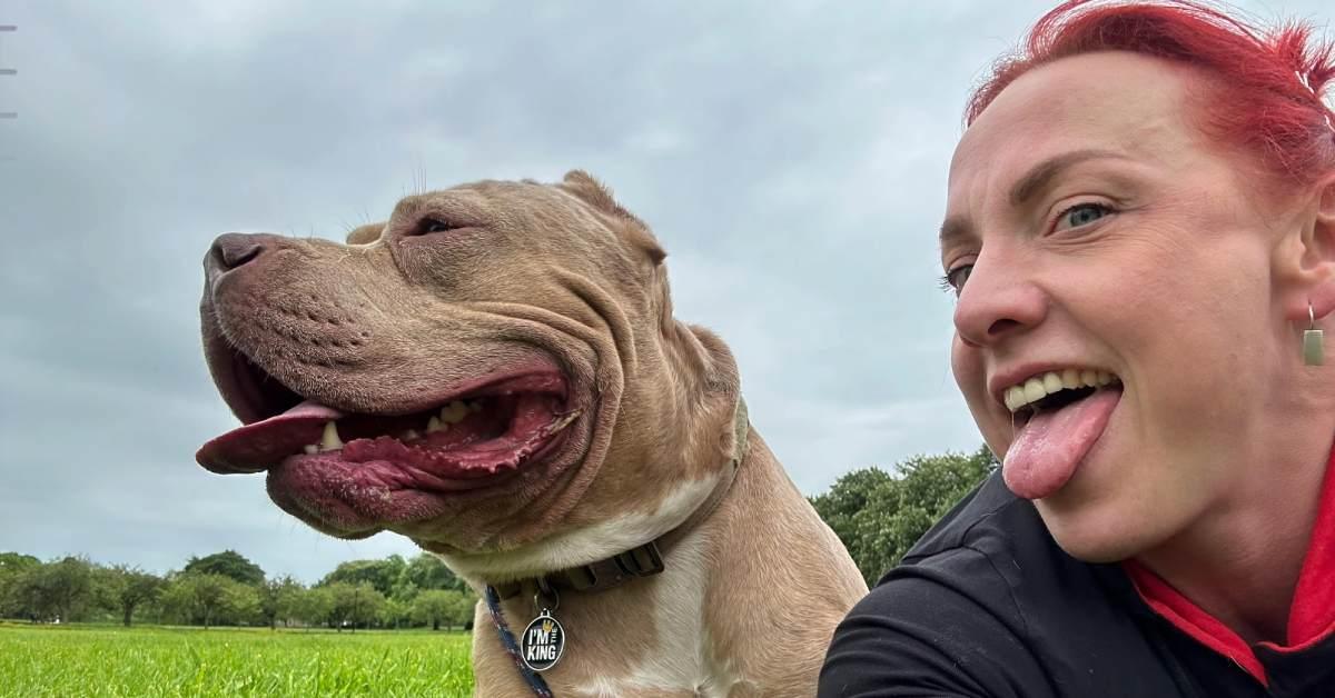 348357172_2016398265366224_4969285621192884025_n