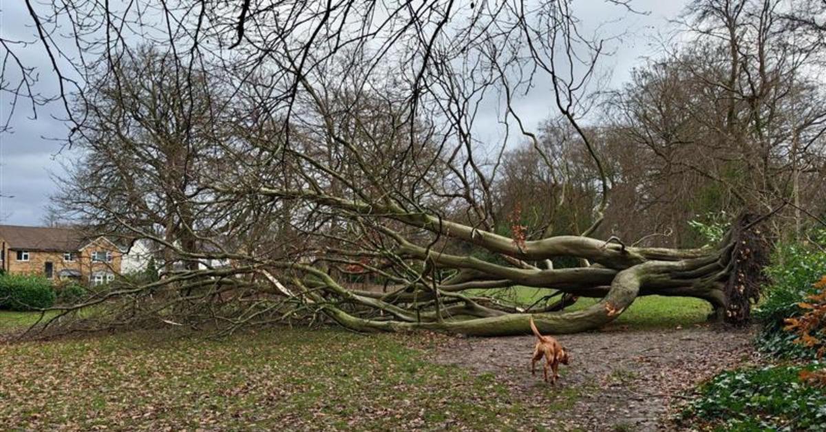 657dfcb4-3a69-4daf-a6a7-81865fb4bd8f