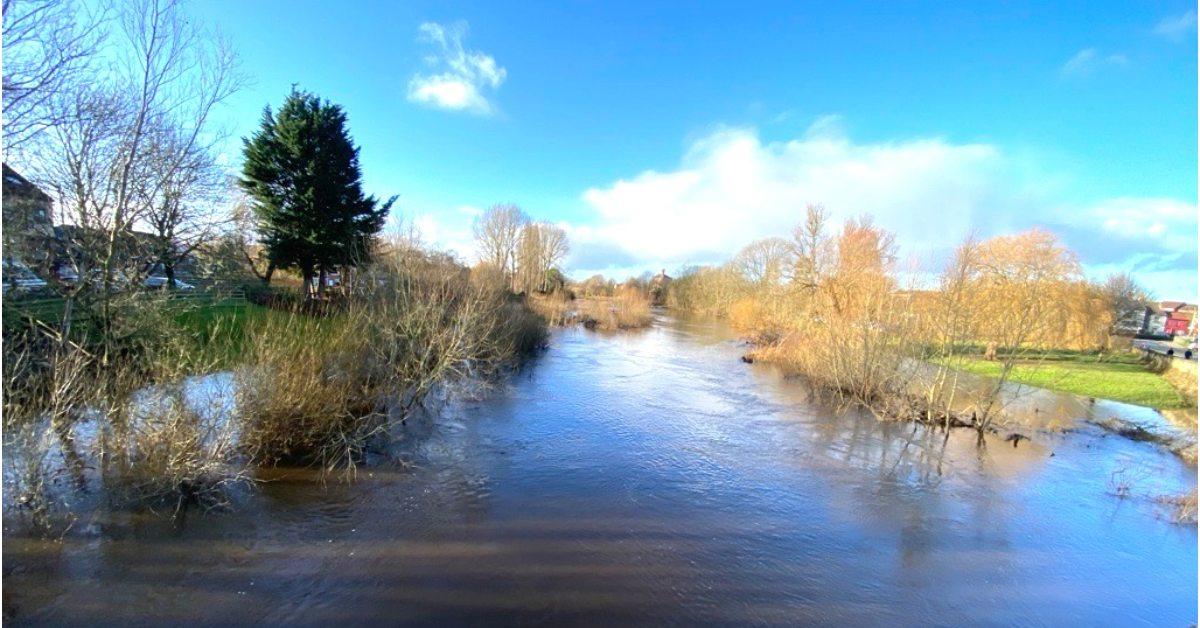 microsoftteams-image-26-11