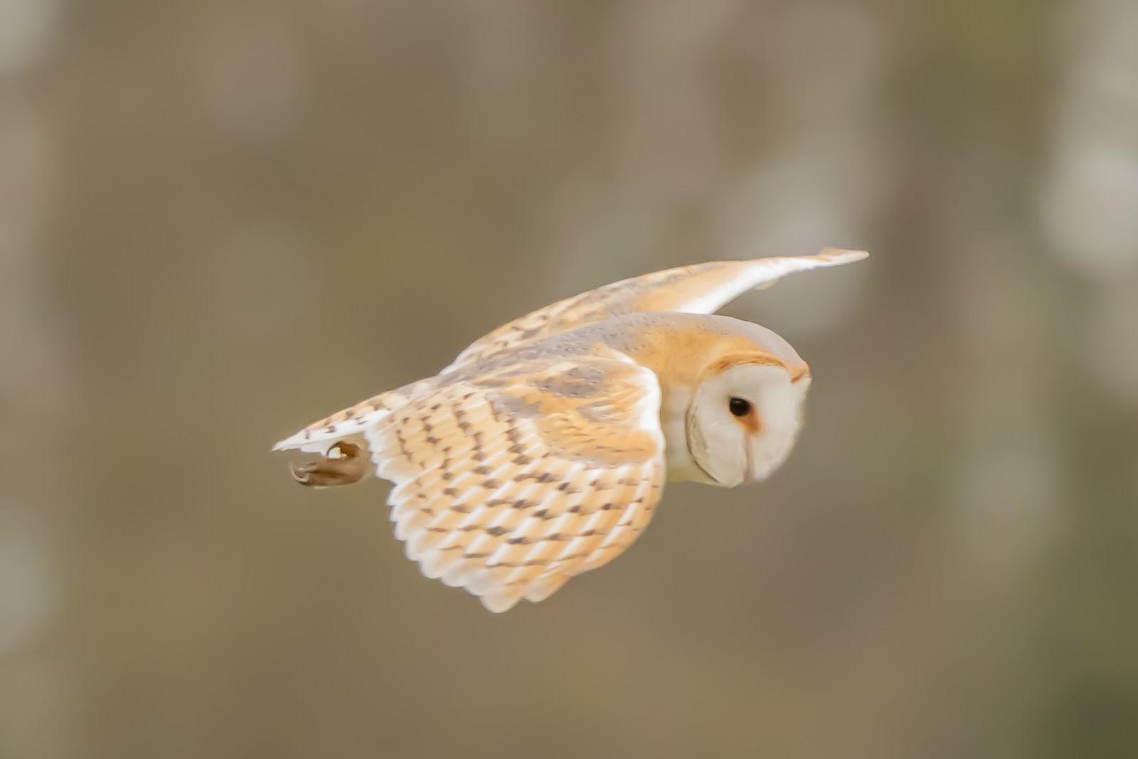 photo-of-the-week-julie-valentine