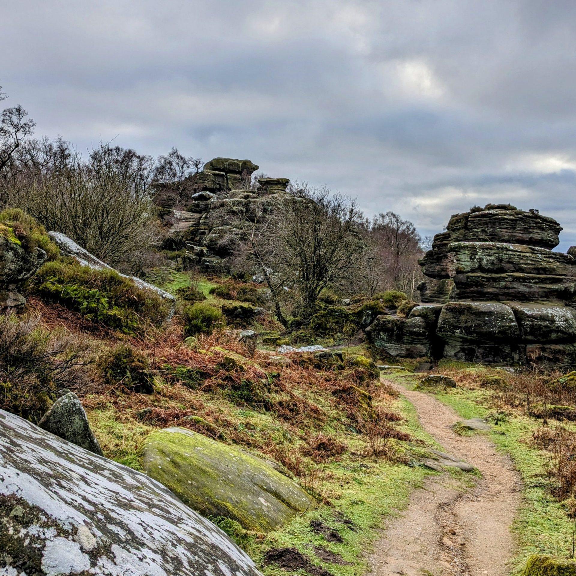 simon-anderson-photo-of-the-week