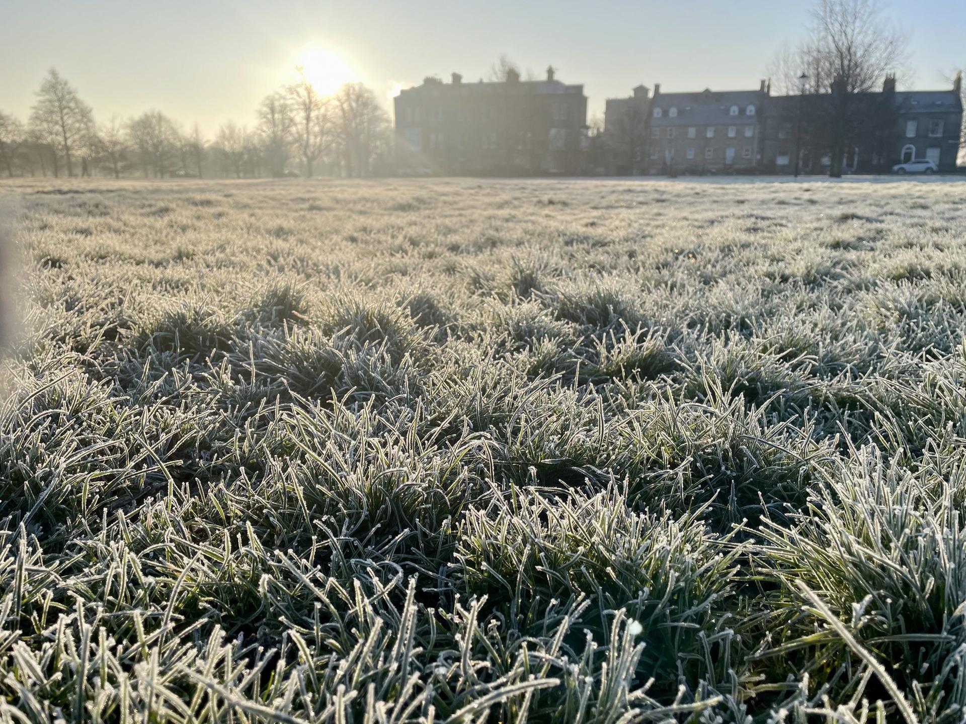 ali-hornshaw-photo-of-the-week