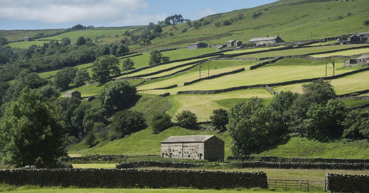 mayoral-election-preview-pic-of-landscape-of-yorkshire-dales-1
