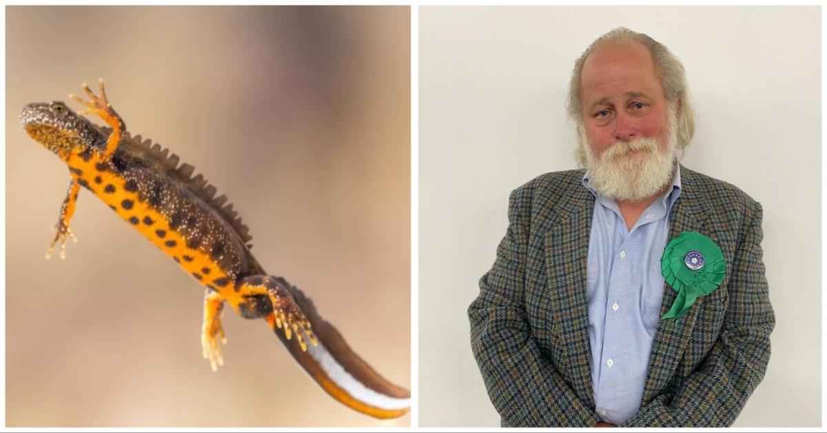 mixcollage-15-mar-2024-02-19-pm-7480