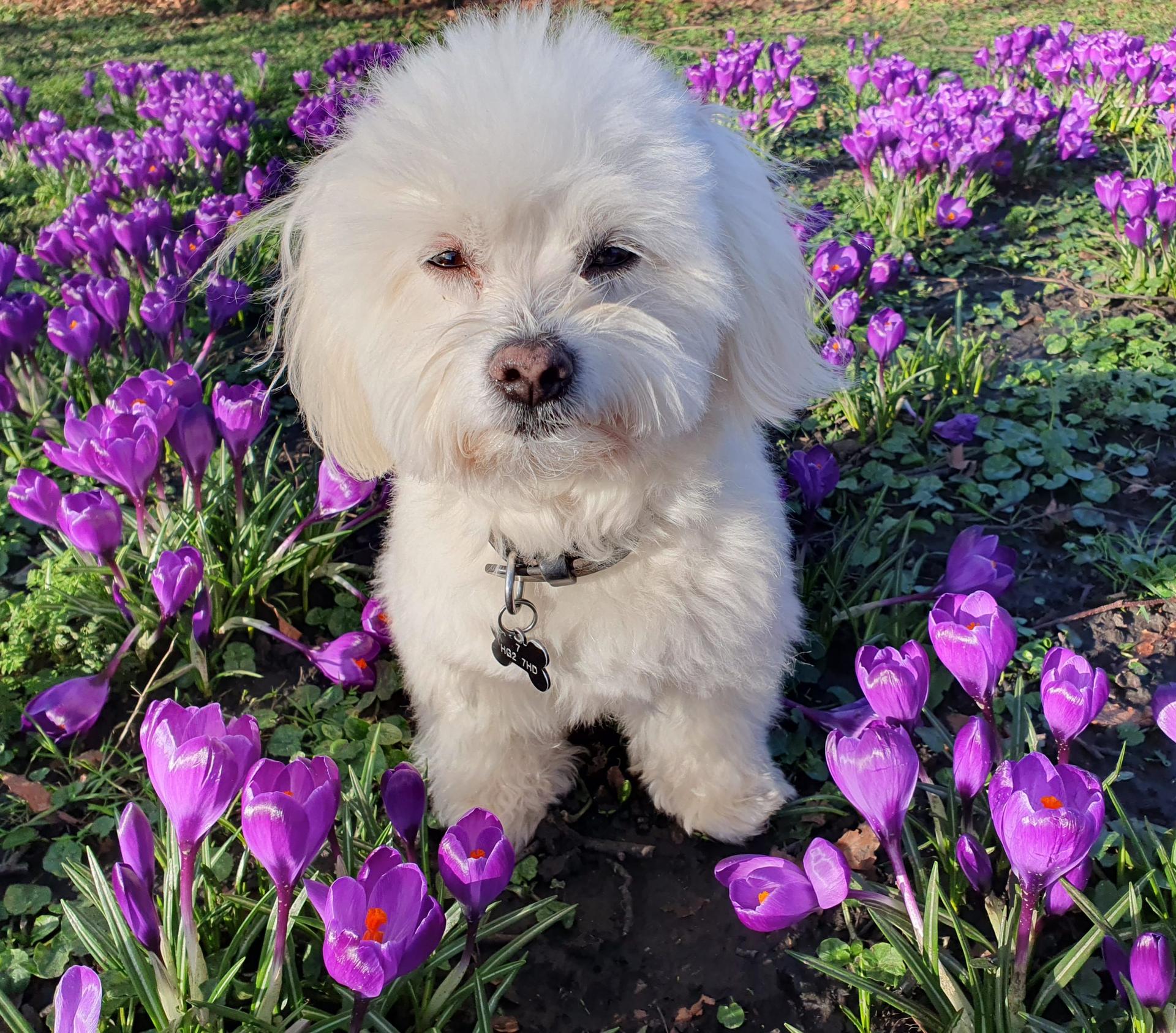 photo-of-the-week-erica-johnson