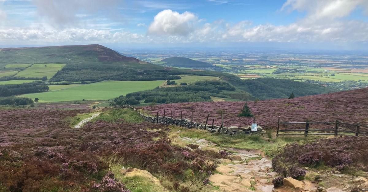 whatsapp-image-2023-09-01-at-16-17-26