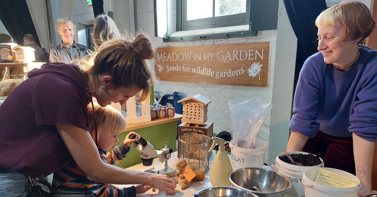 web-meadow-in-my-garden-2