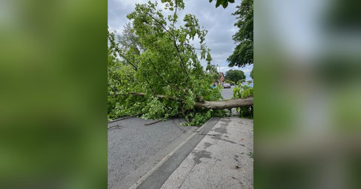 88a8191b-f897-4069-991a-7bfe27f9550e