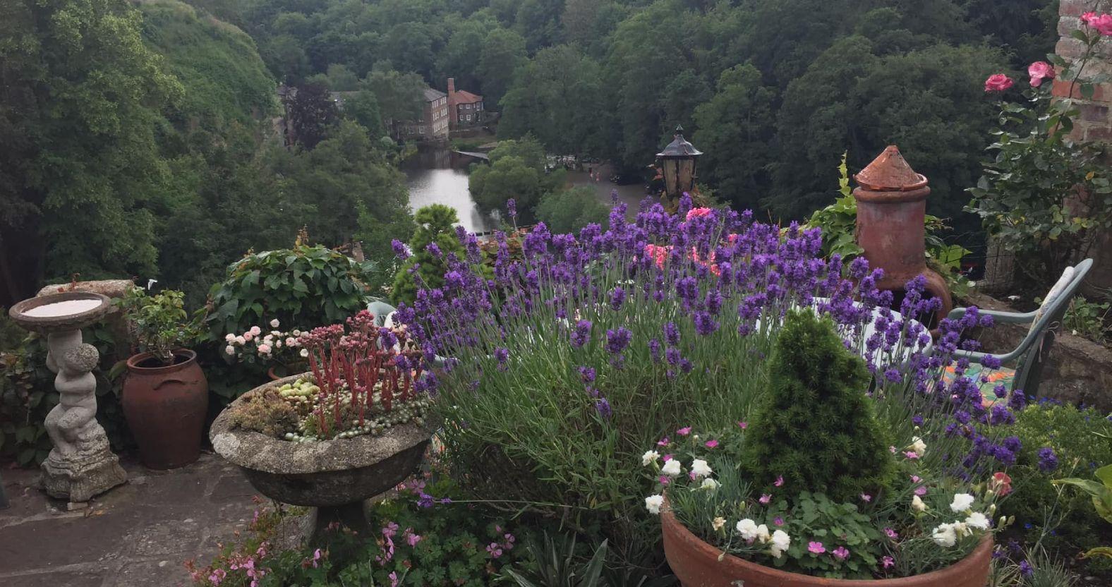 knaresborough-open-gardens