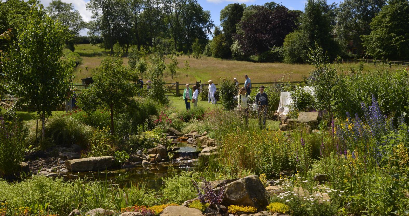 mickley-open-gardens-2