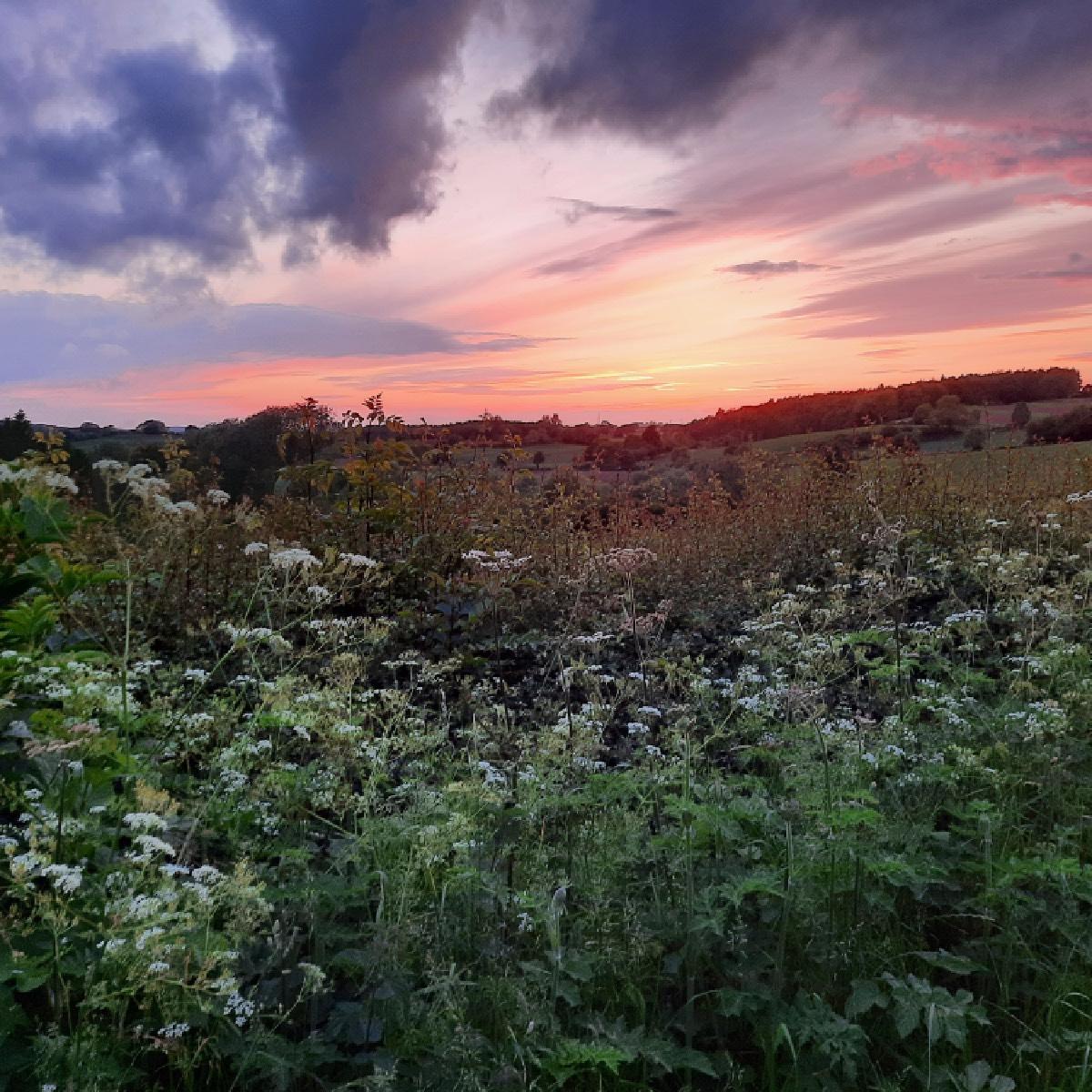 photo-of-the-week-_-beverley-hawman