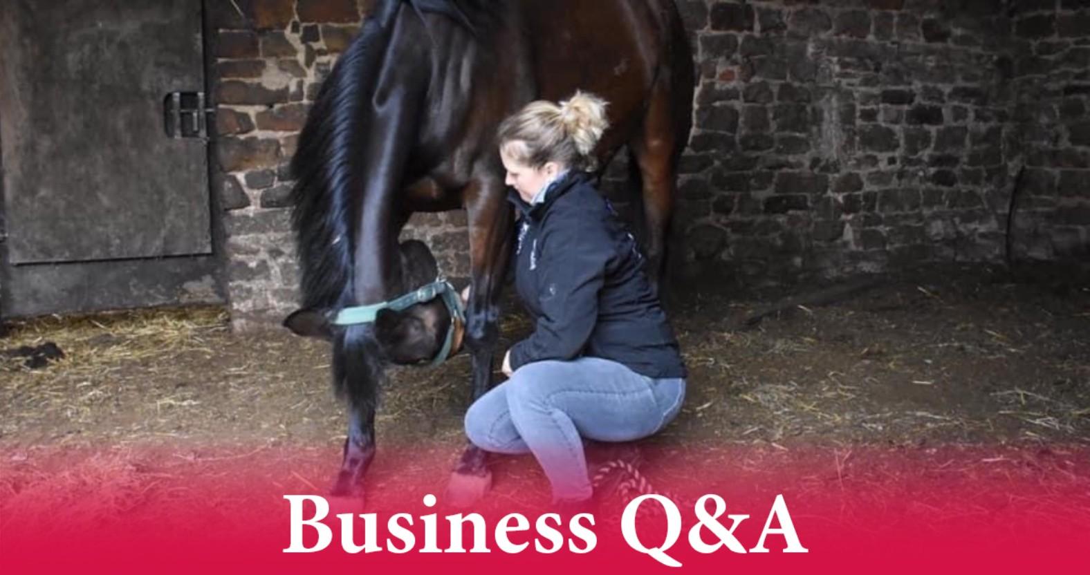 sarahheaton-horse-strap