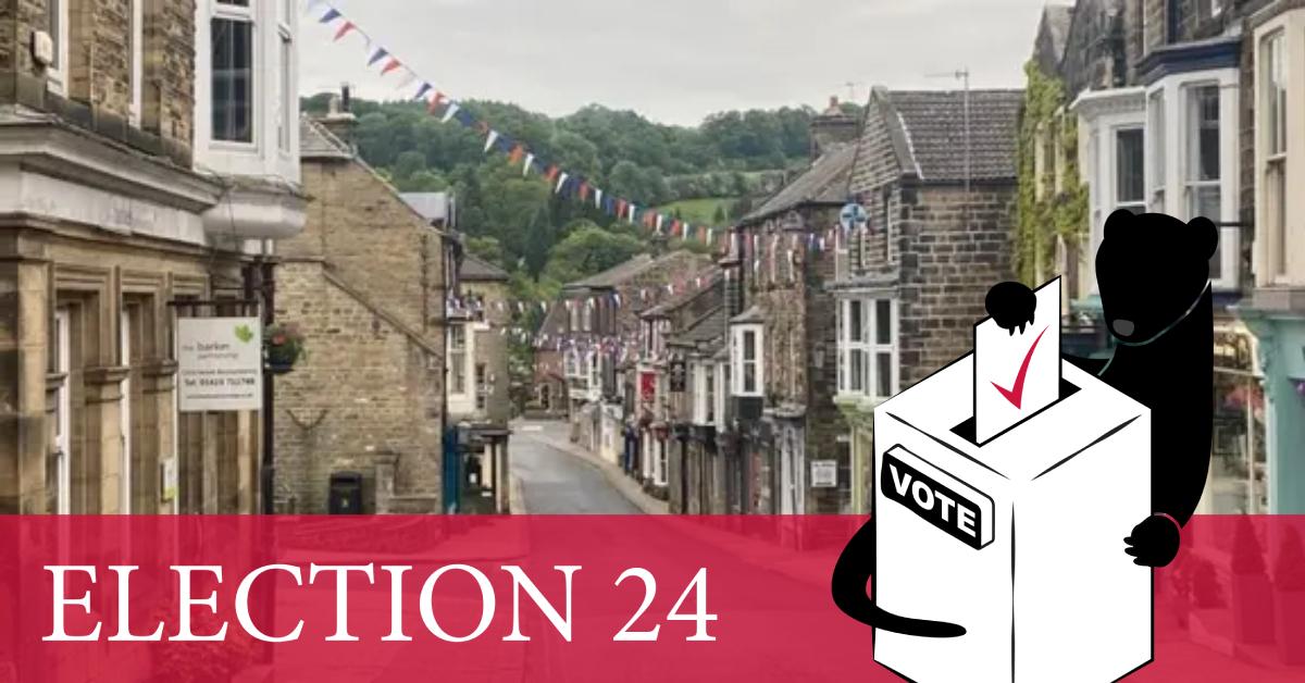 stray-ferret-election-banner