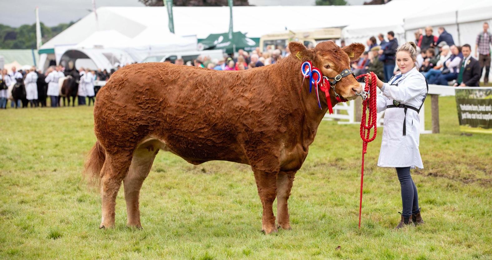 gys24_supreme-beef-champion_005-1