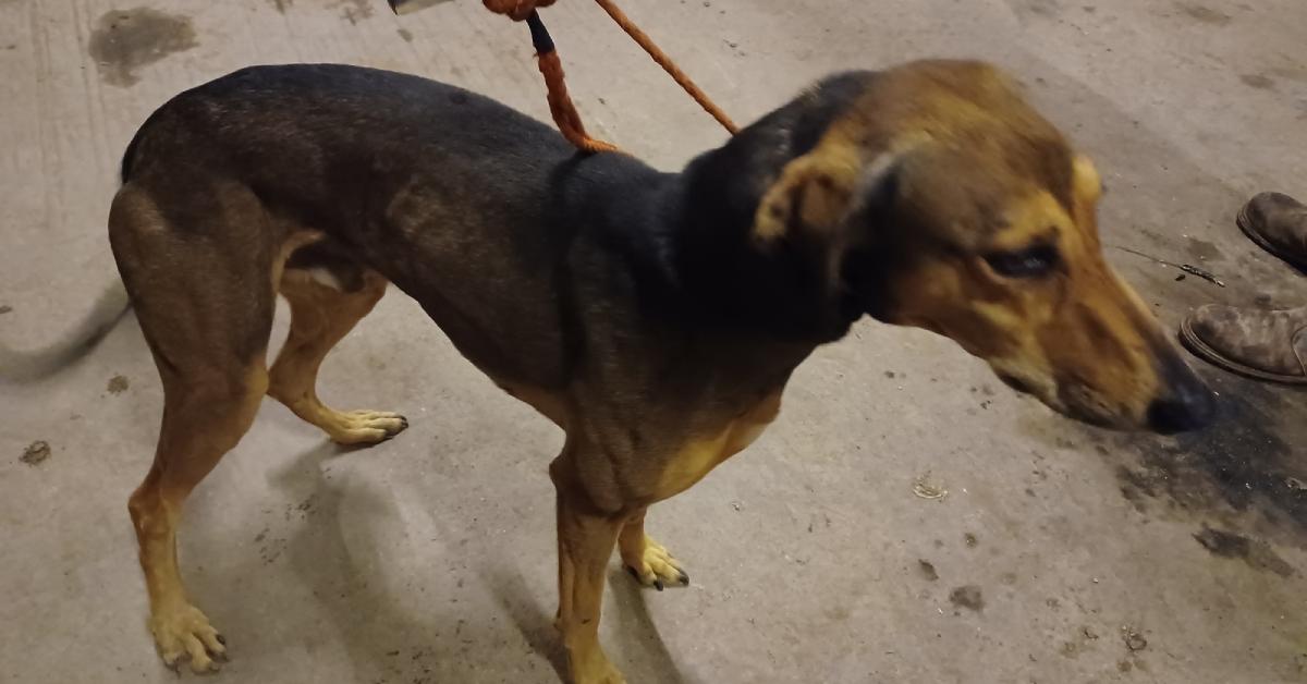 456328118_892965999525291_456270052393809453_n