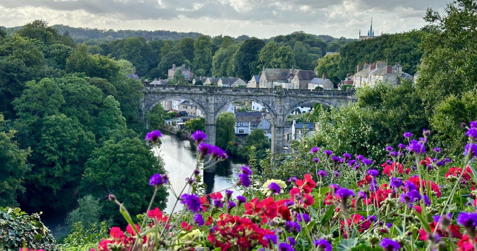 photo-of-the-week-realign