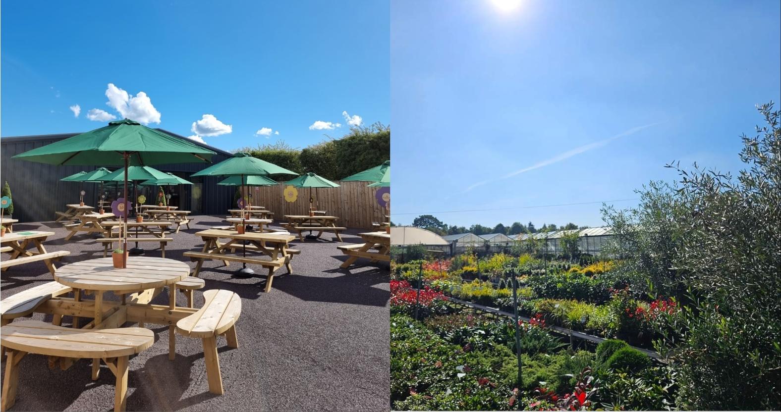 mixcollage-22-oct-2024-10-58-am-2308