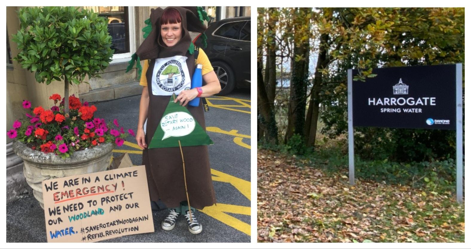 mixcollage-29-oct-2024-03-13-pm-2231