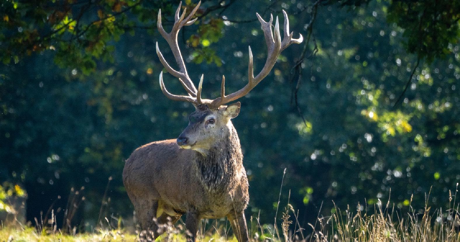 photo-of-the-week-michelle-bray-3