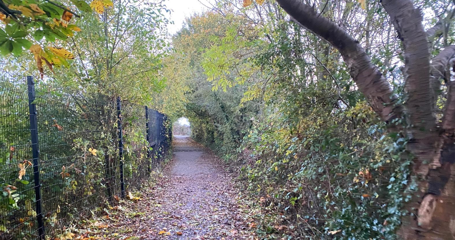 the-approach-to-harrogate-high-school-3