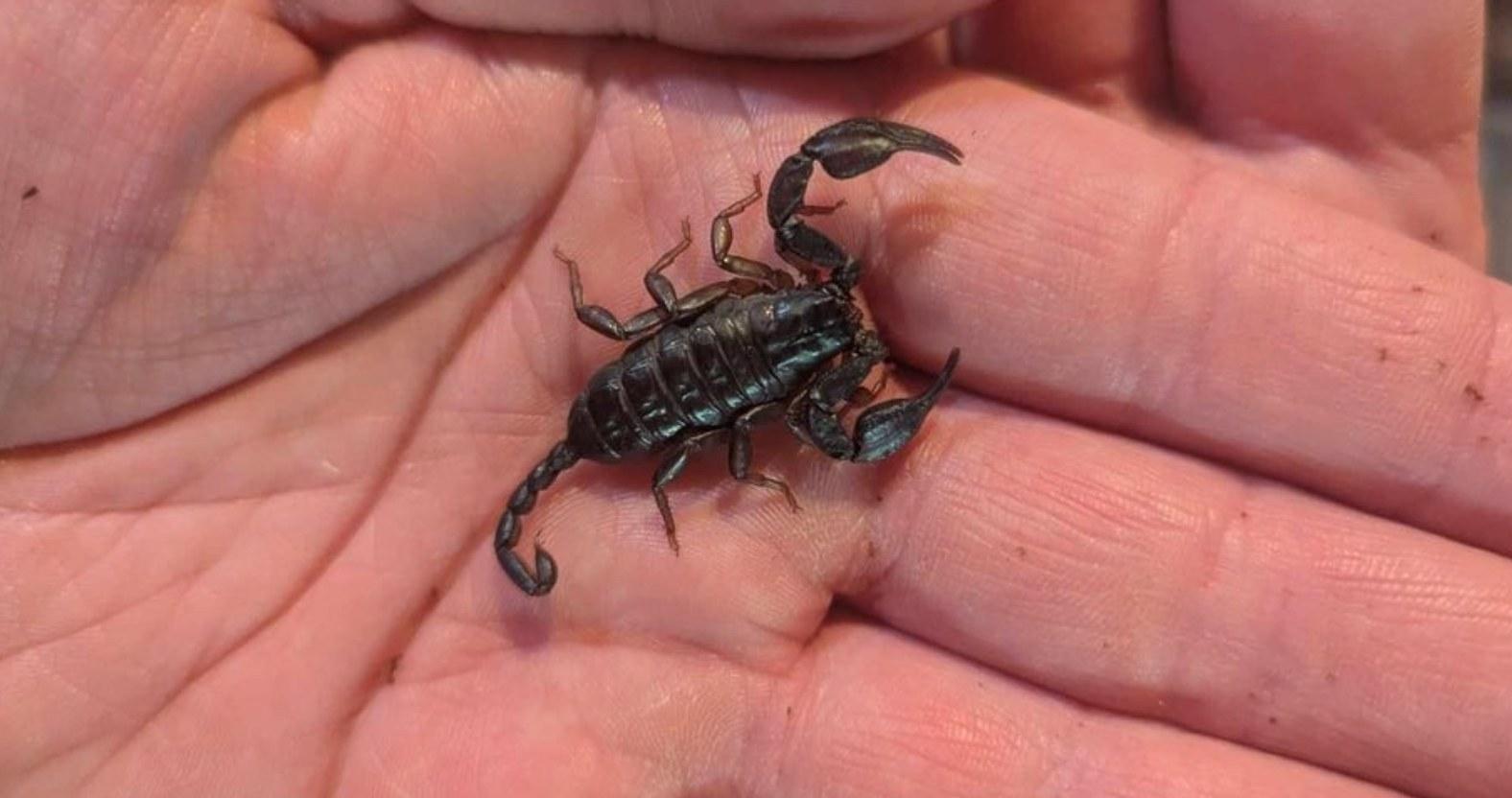 462558273_1098549001802524_1622196686438718249_n