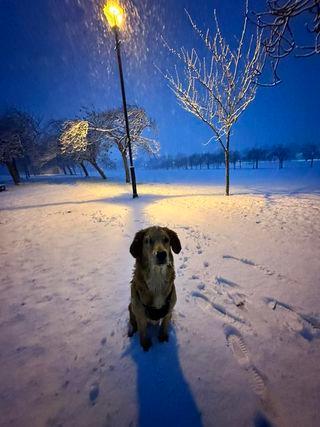 467816319_10163238544109009_4693479038939308783_n