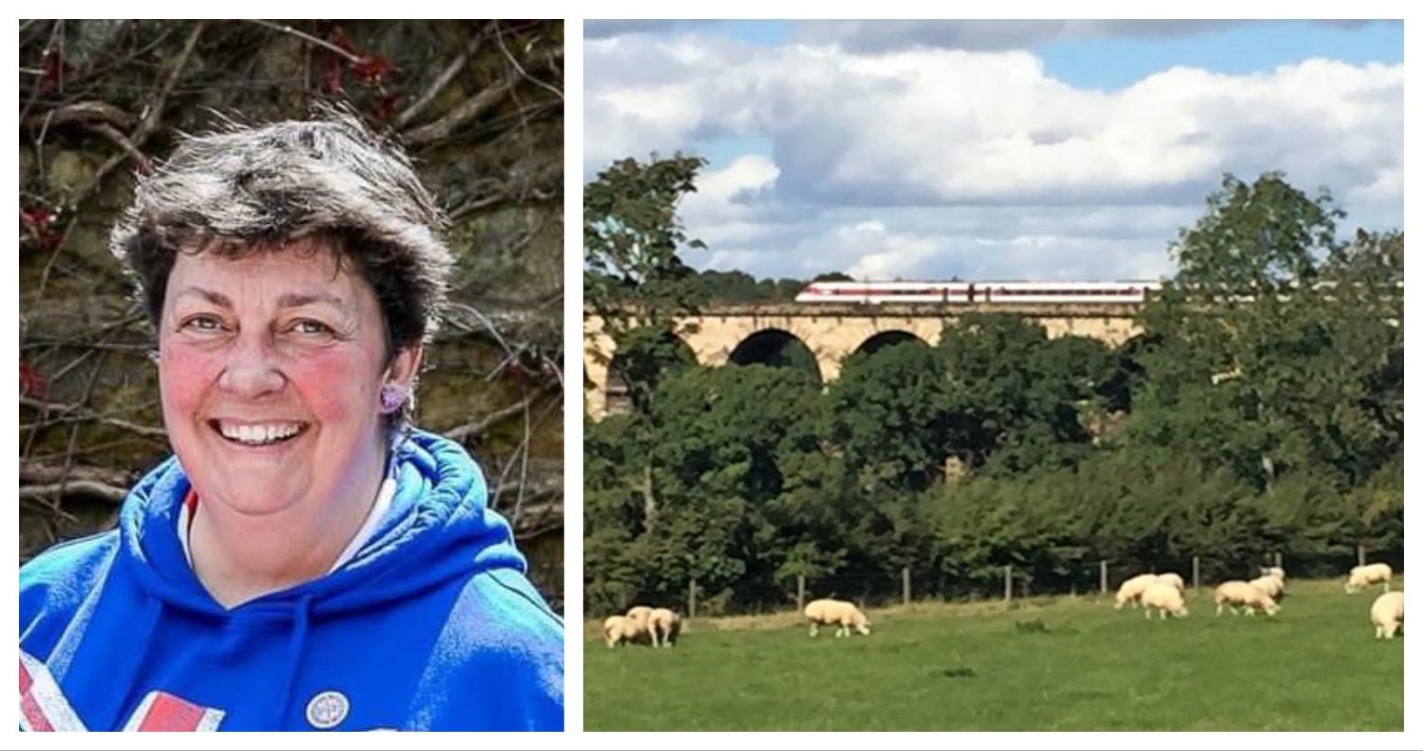 mixcollage-04-nov-2024-11-55-am-7111