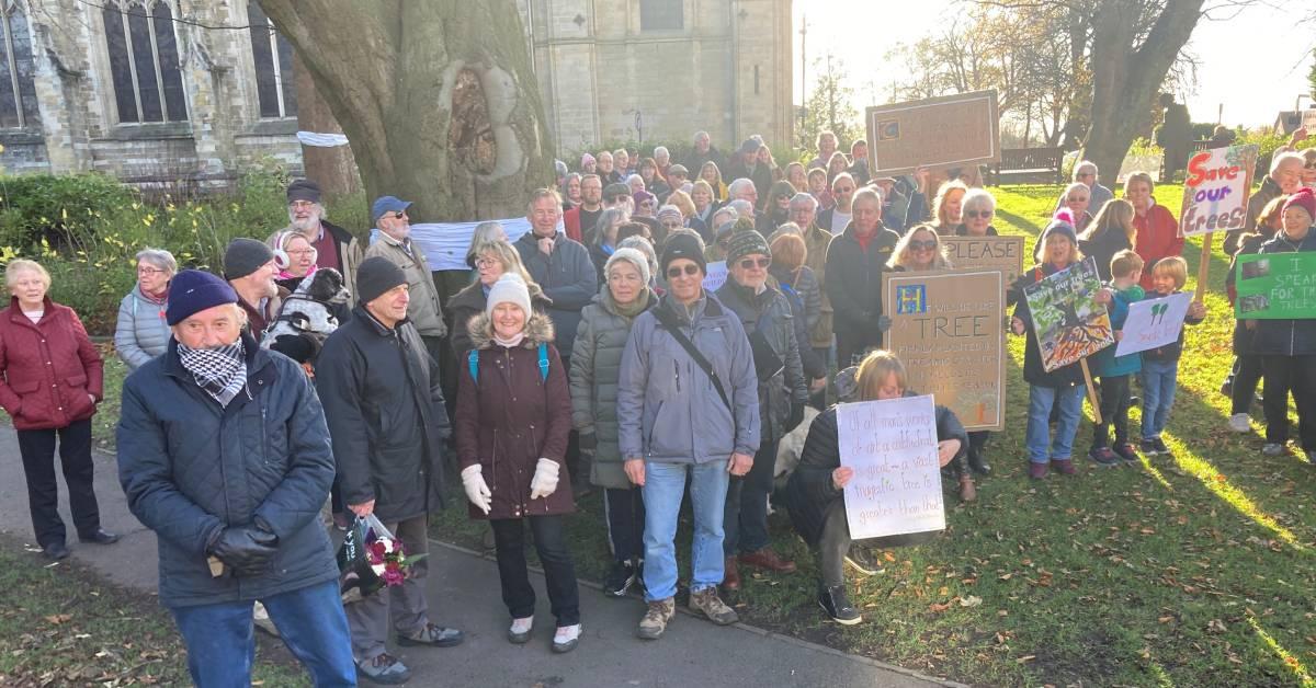 ripon-25th-nov-2023-protestors-by-beech-9