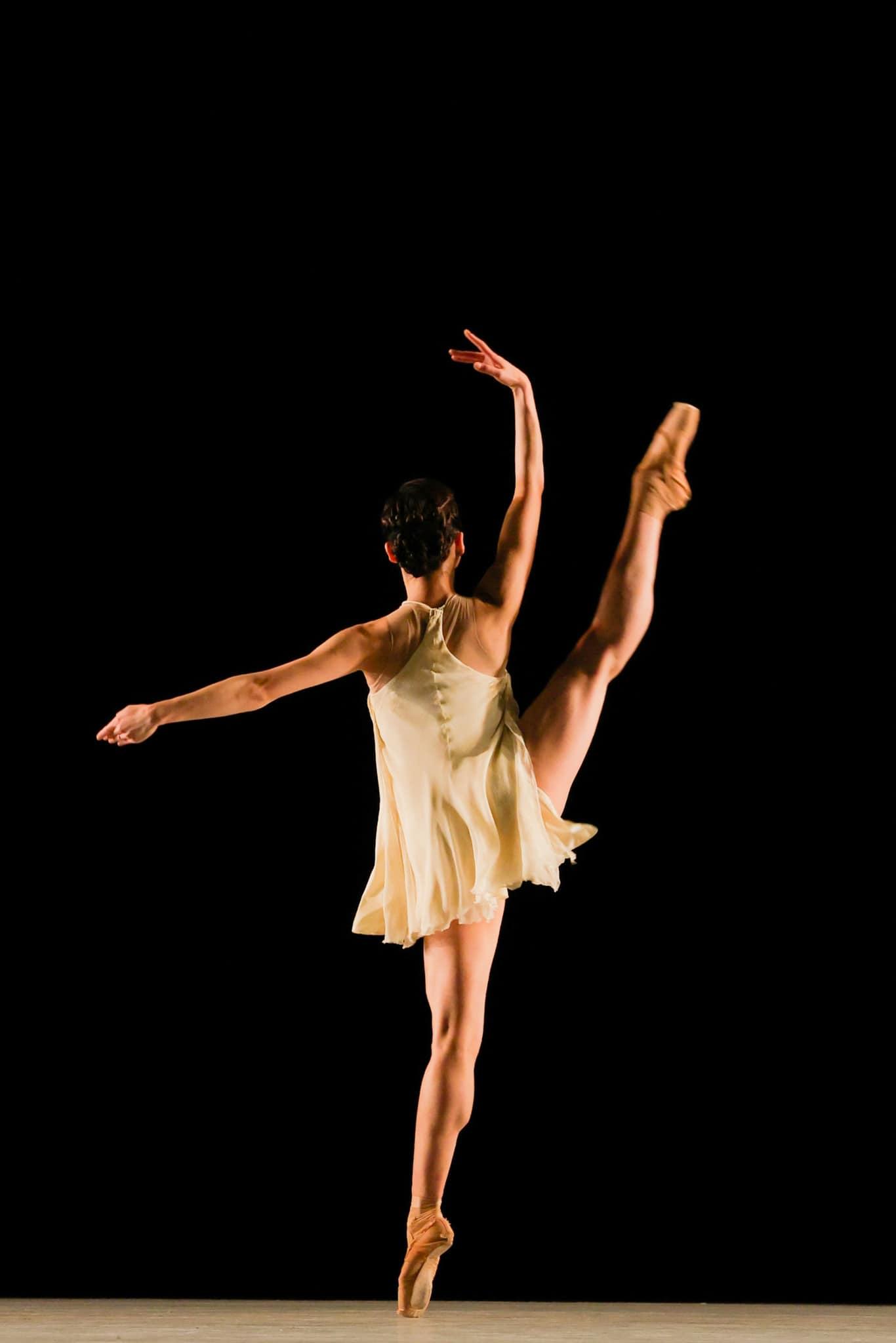 468421129_10236296865623746_5690006182386525817_n-2